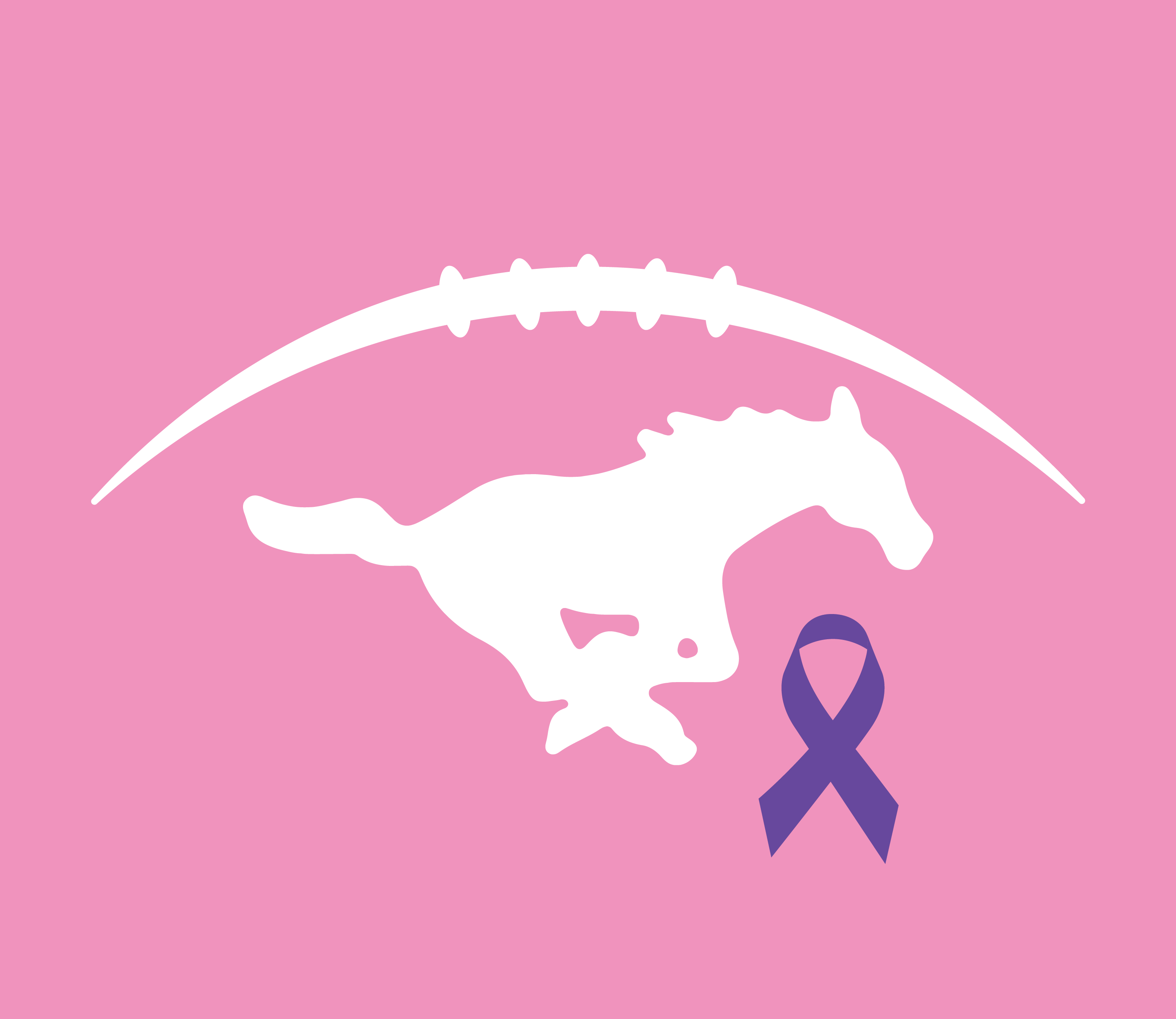 Mount Vernon Football PINK OUT